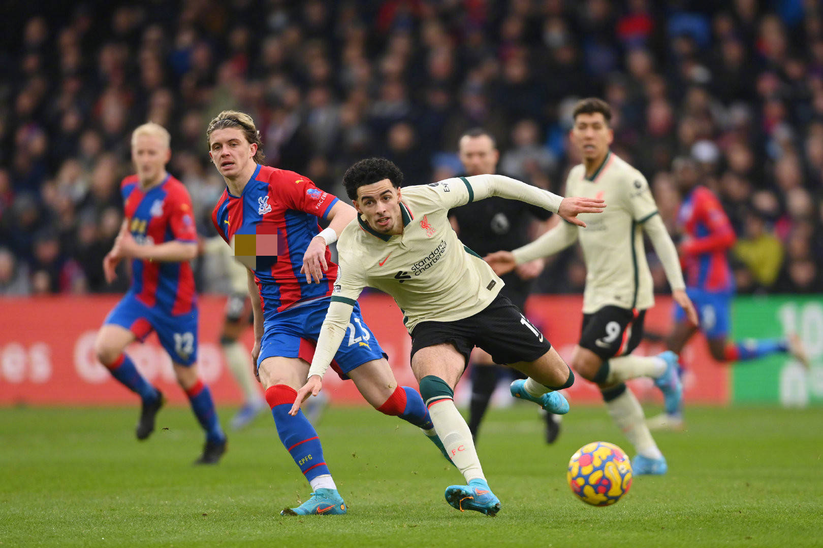 智慧生存 智慧生存